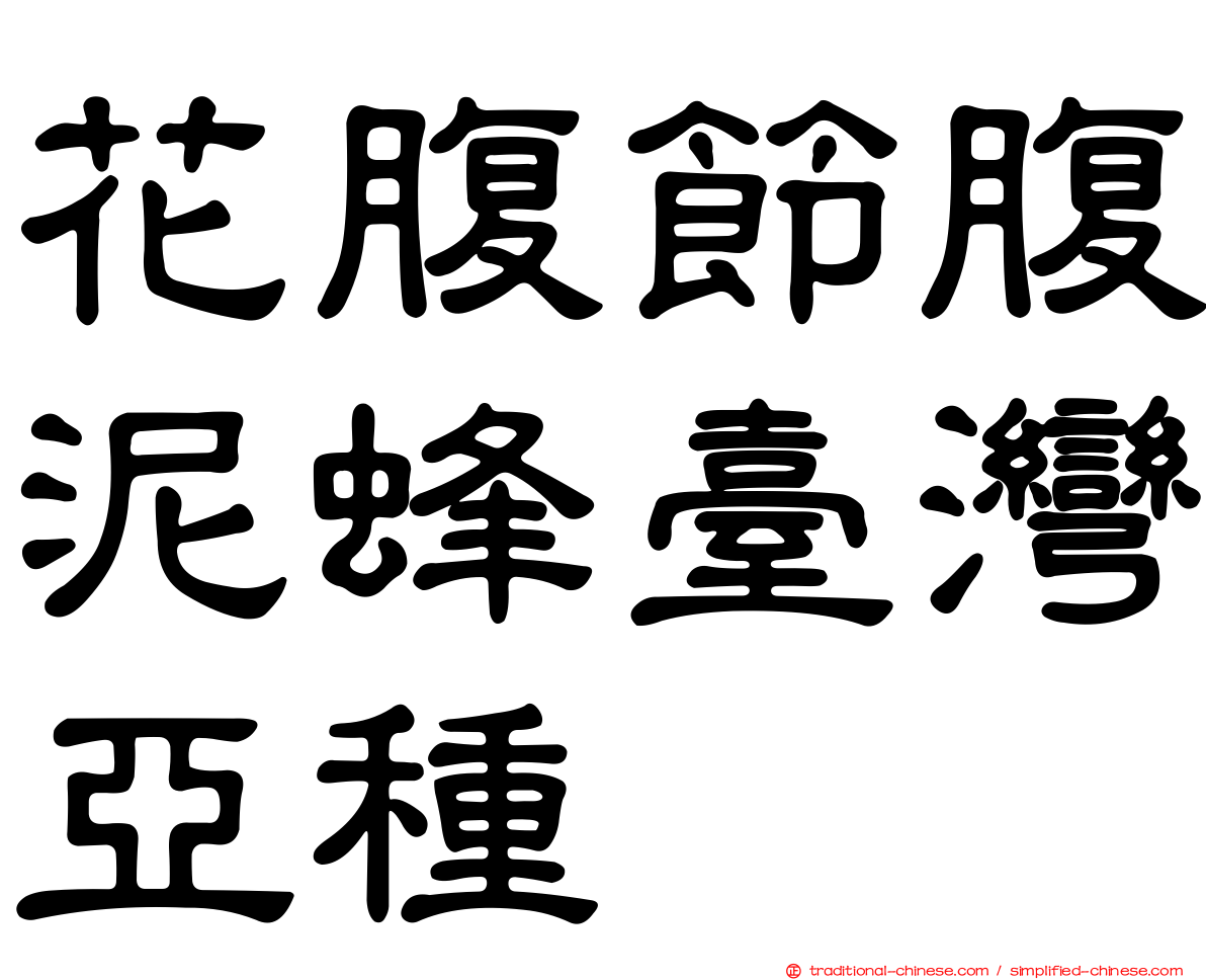 花腹節腹泥蜂臺灣亞種