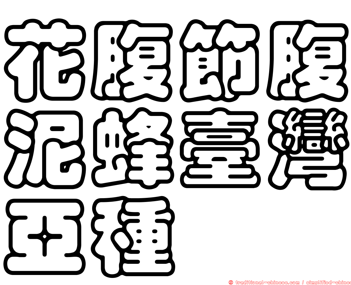 花腹節腹泥蜂臺灣亞種