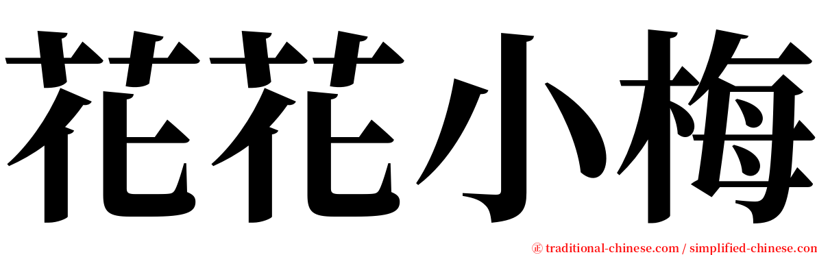 花花小梅 serif font