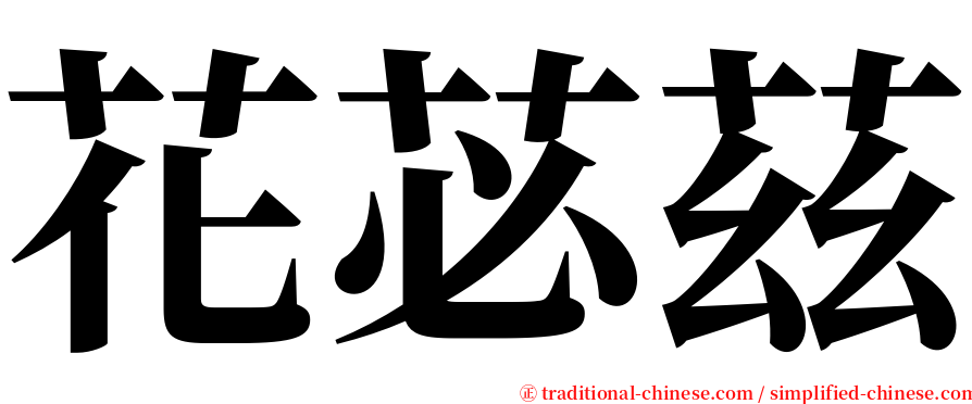 花苾茲 serif font