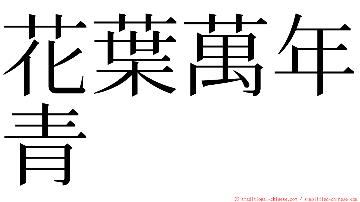 花葉萬年青 ming font