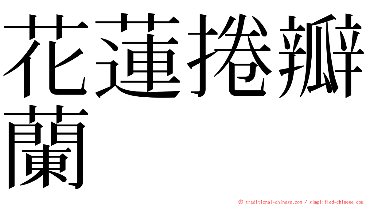 花蓮捲瓣蘭 ming font