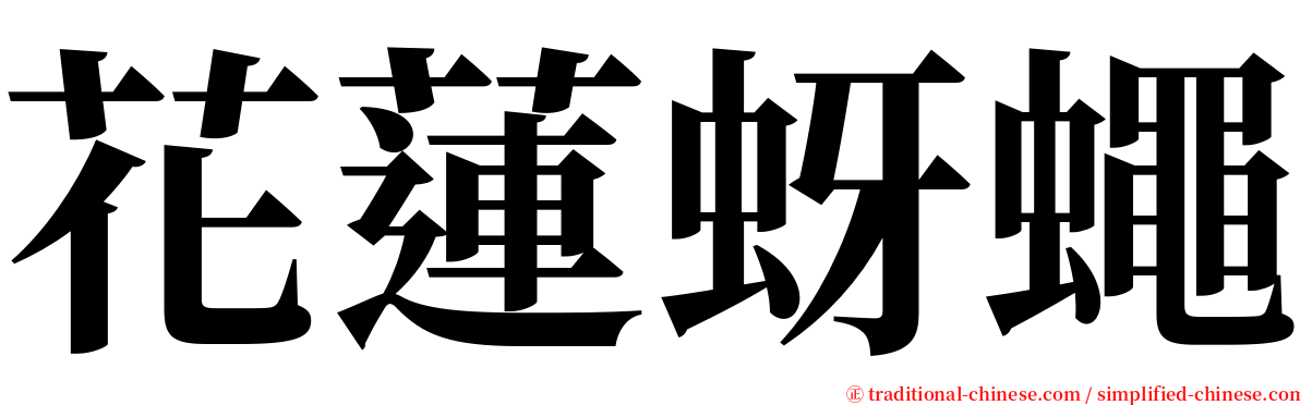 花蓮蚜蠅 serif font