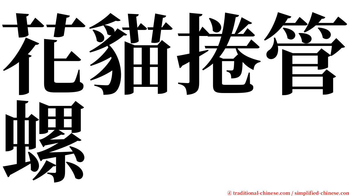 花貓捲管螺 serif font