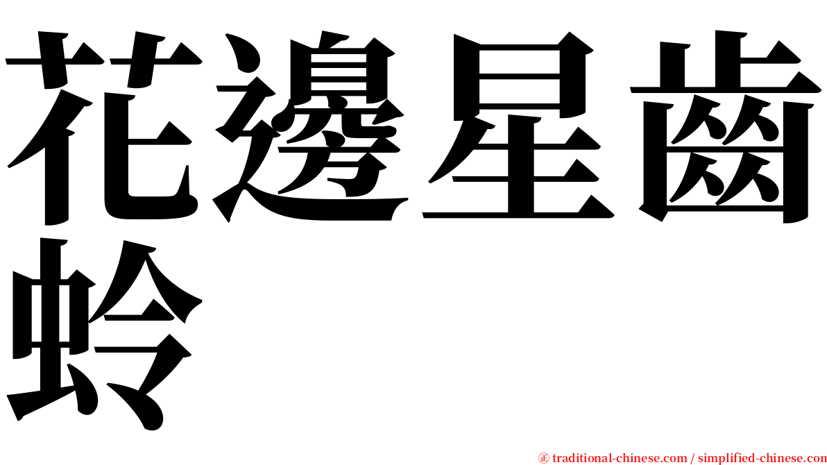 花邊星齒蛉 serif font