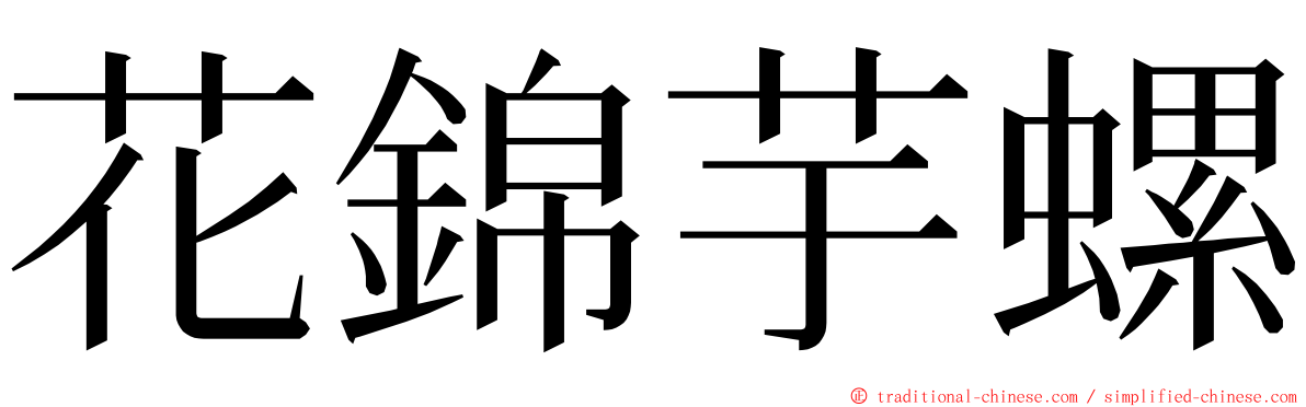 花錦芋螺 ming font