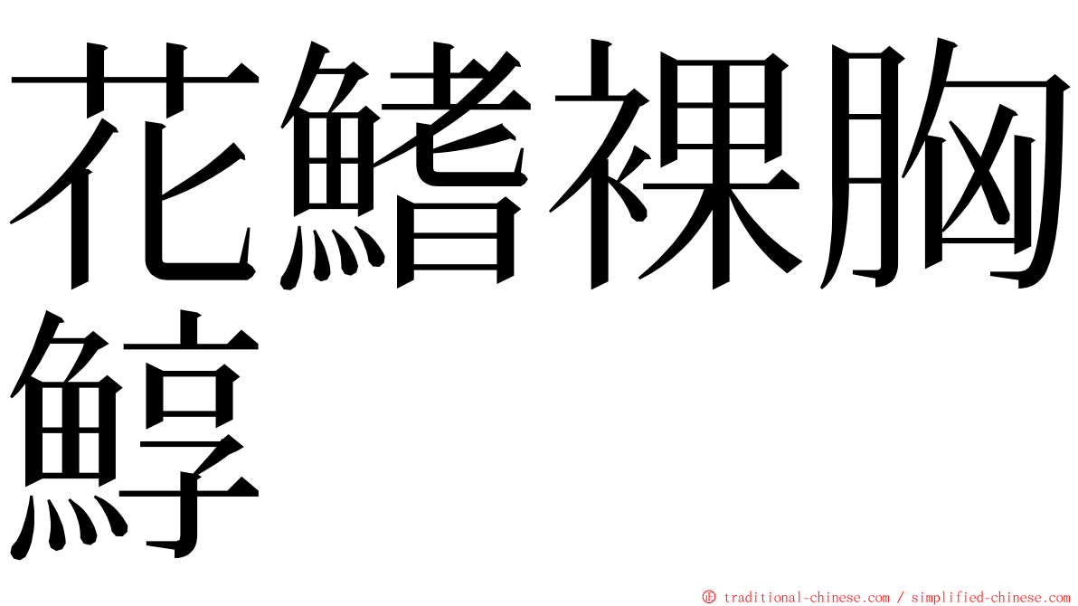 花鰭裸胸鯙 ming font