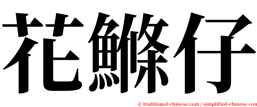 花鰷仔 serif font