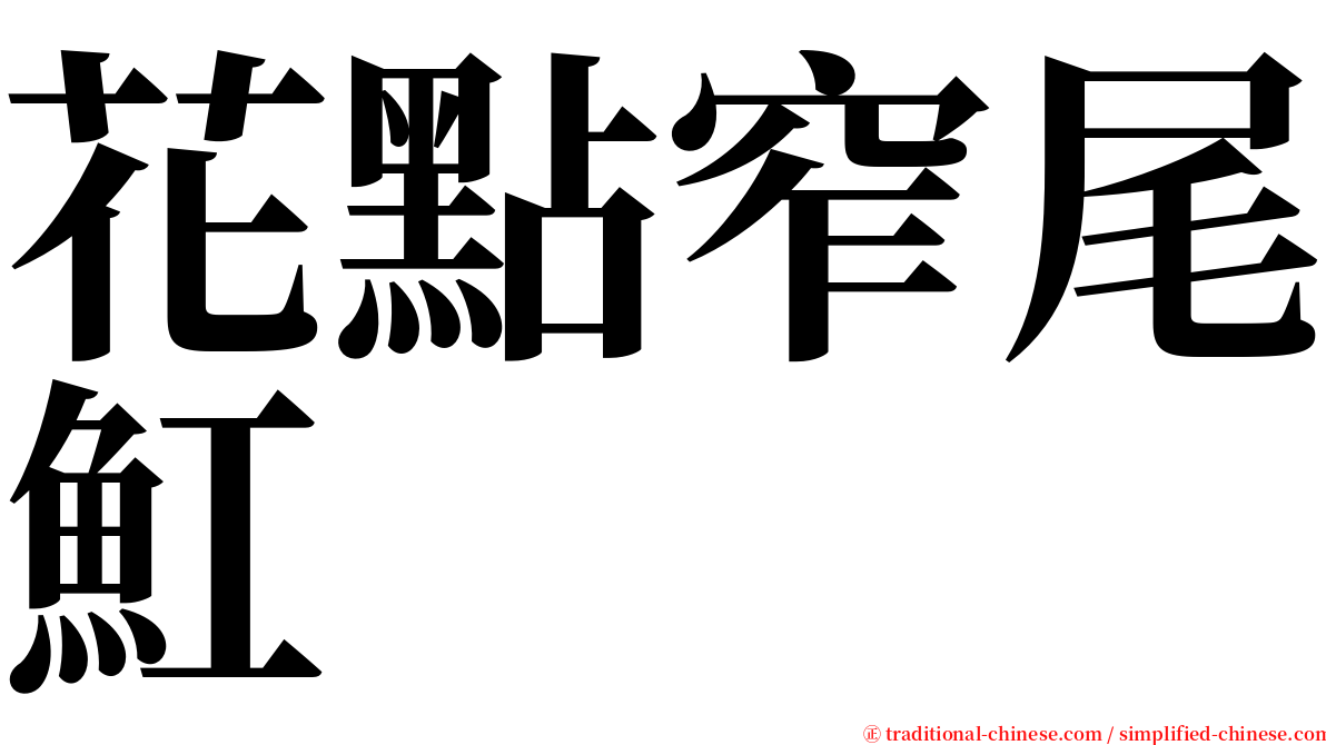 花點窄尾魟 serif font