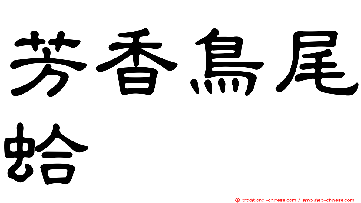 芳香鳥尾蛤