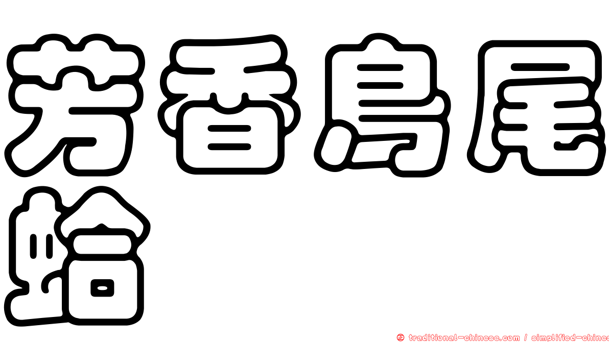 芳香鳥尾蛤