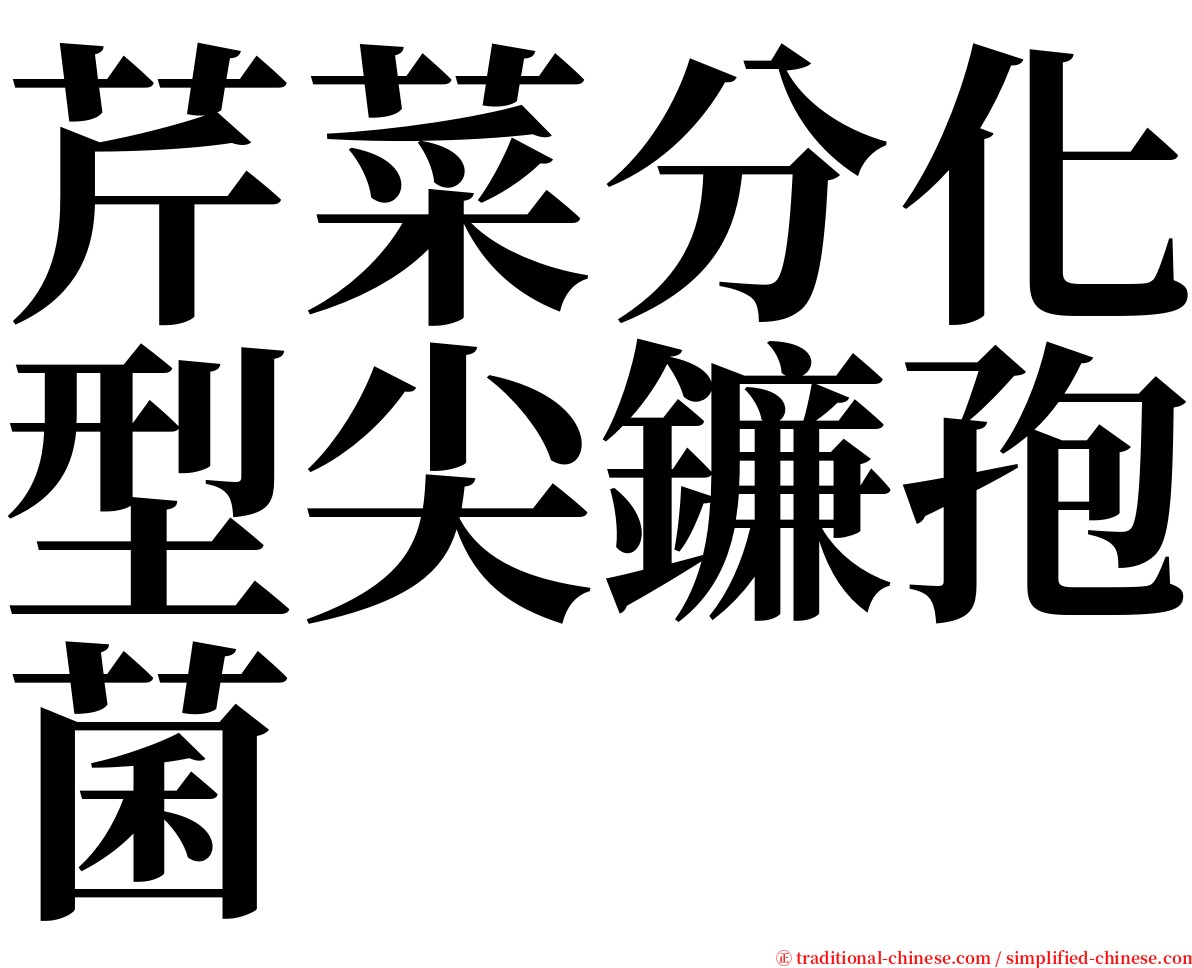 芹菜分化型尖鐮孢菌 serif font