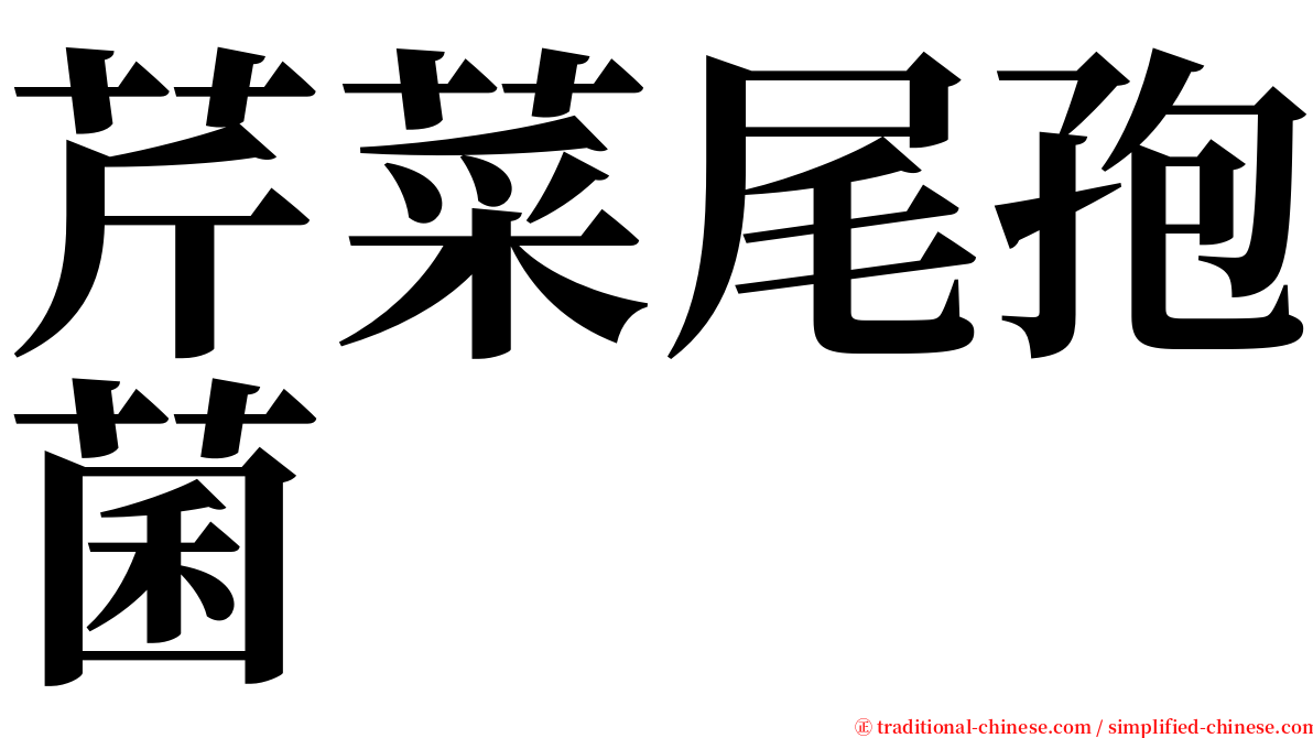 芹菜尾孢菌 serif font