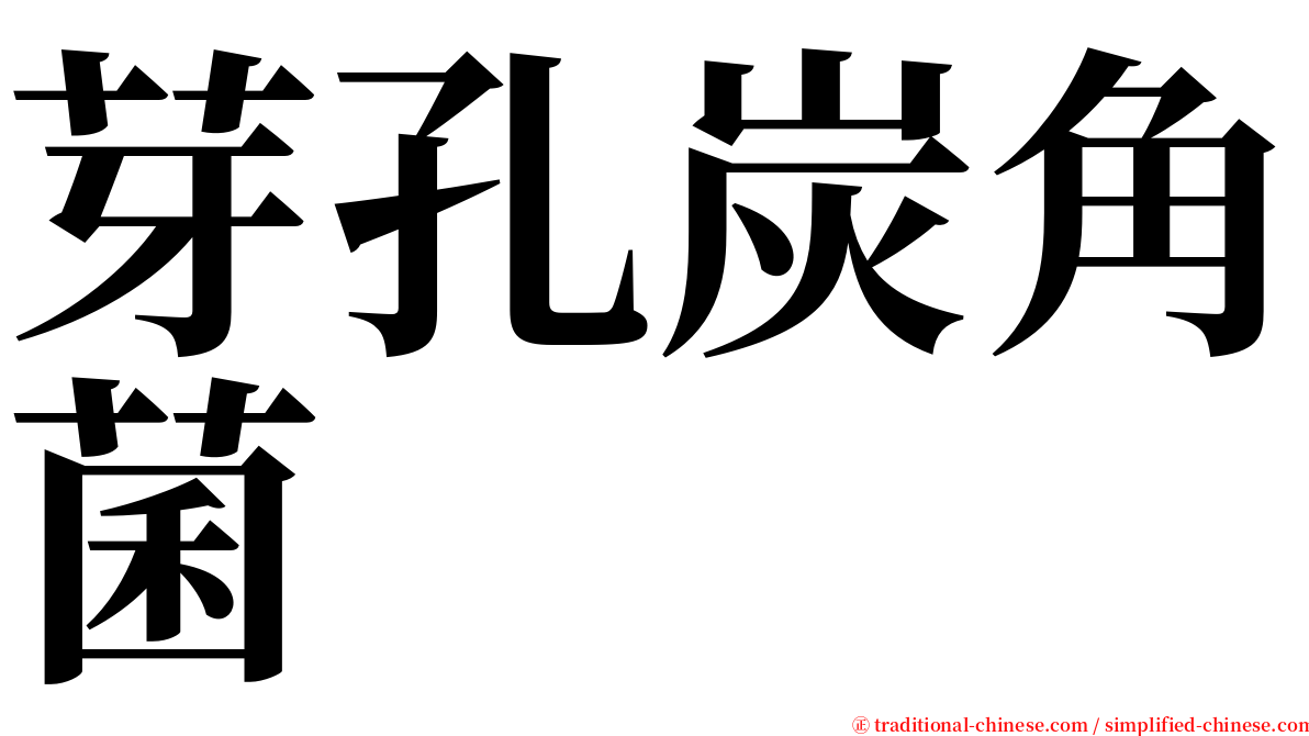 芽孔炭角菌 serif font