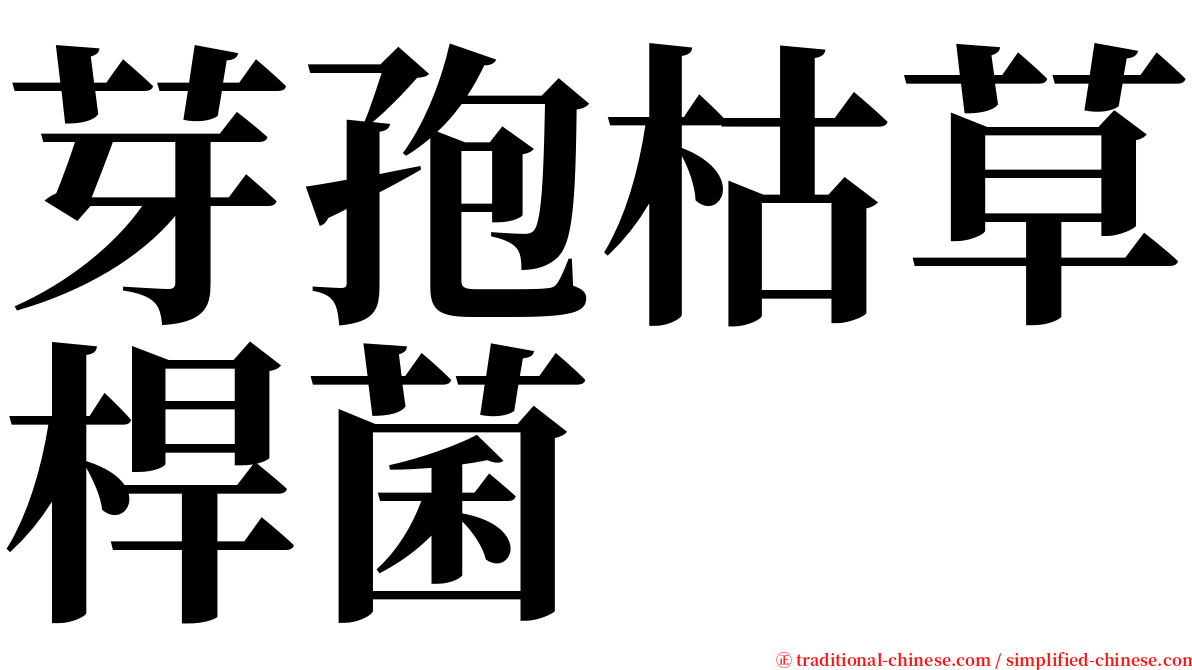 芽孢枯草桿菌 serif font