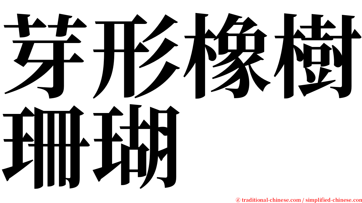 芽形橡樹珊瑚 serif font