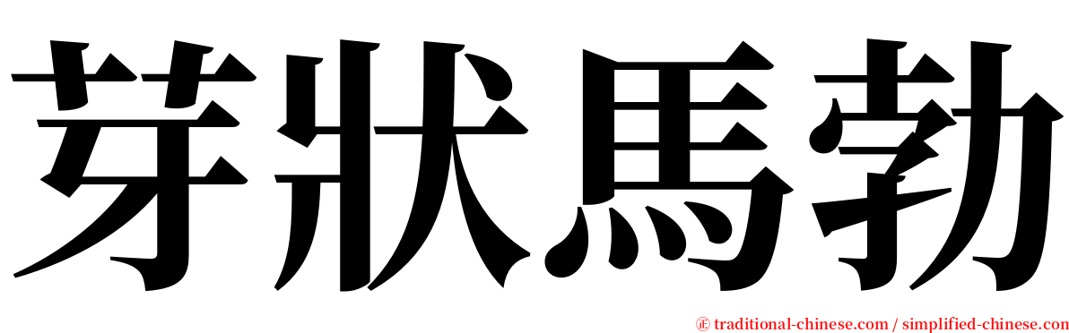 芽狀馬勃 serif font