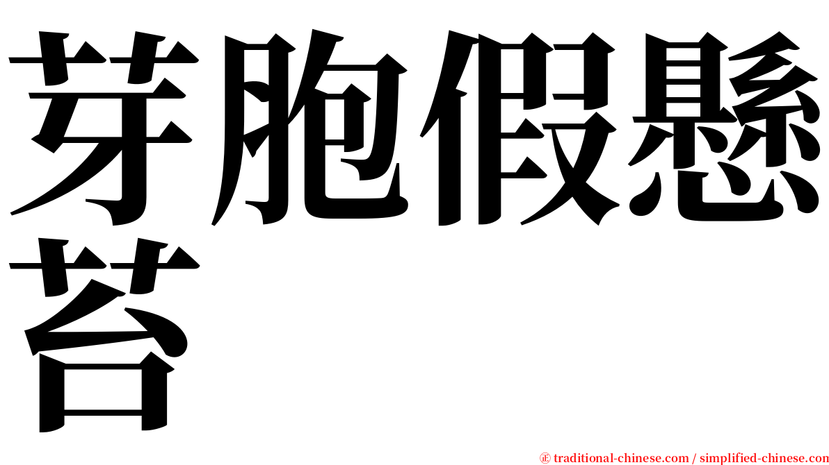 芽胞假懸苔 serif font