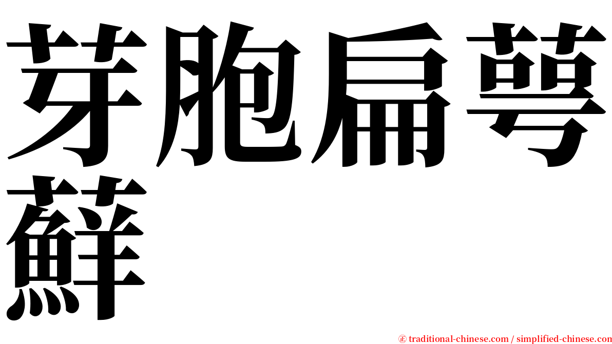 芽胞扁萼蘚 serif font