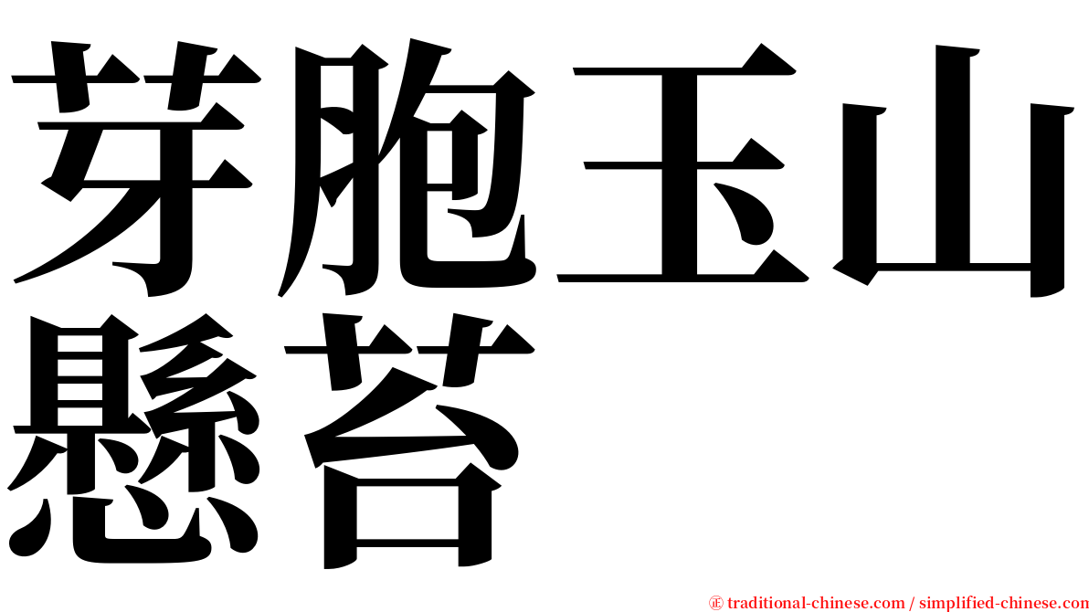 芽胞玉山懸苔 serif font