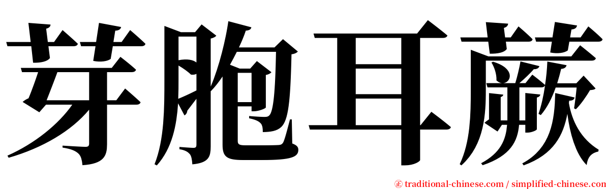 芽胞耳蕨 serif font