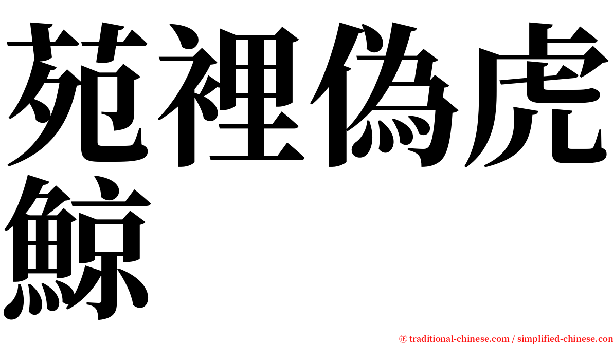 苑裡偽虎鯨 serif font