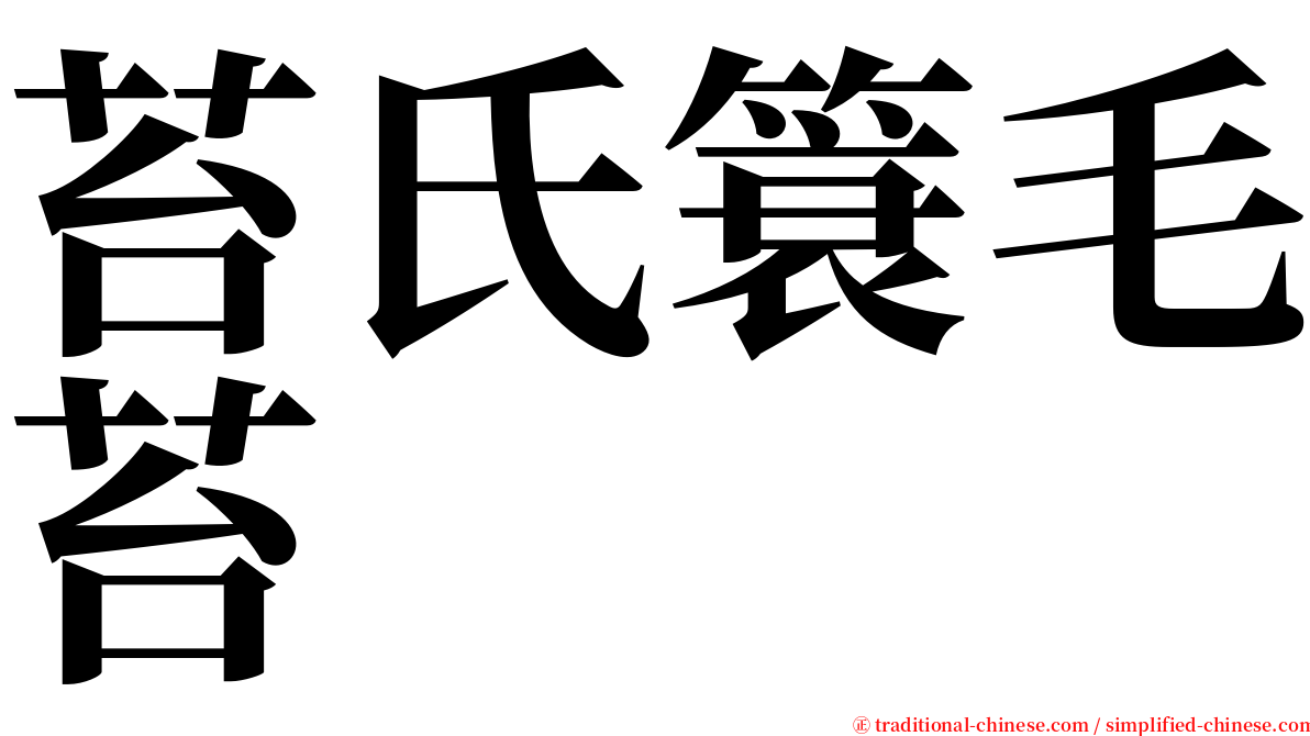 苔氏簑毛苔 serif font