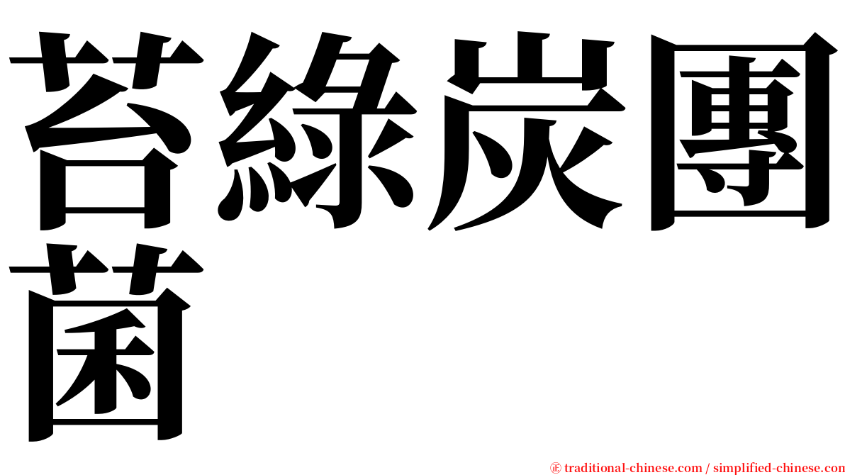 苔綠炭團菌 serif font