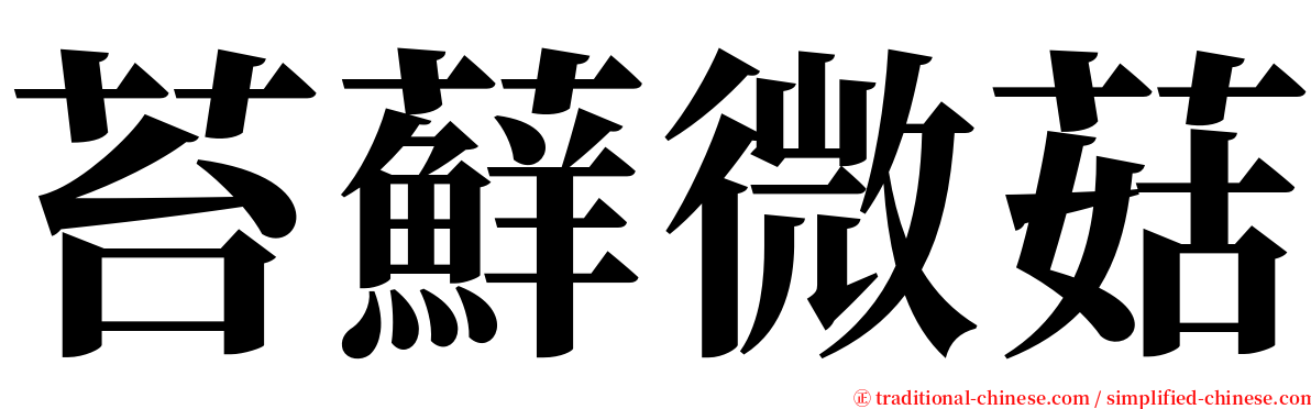 苔蘚微菇 serif font