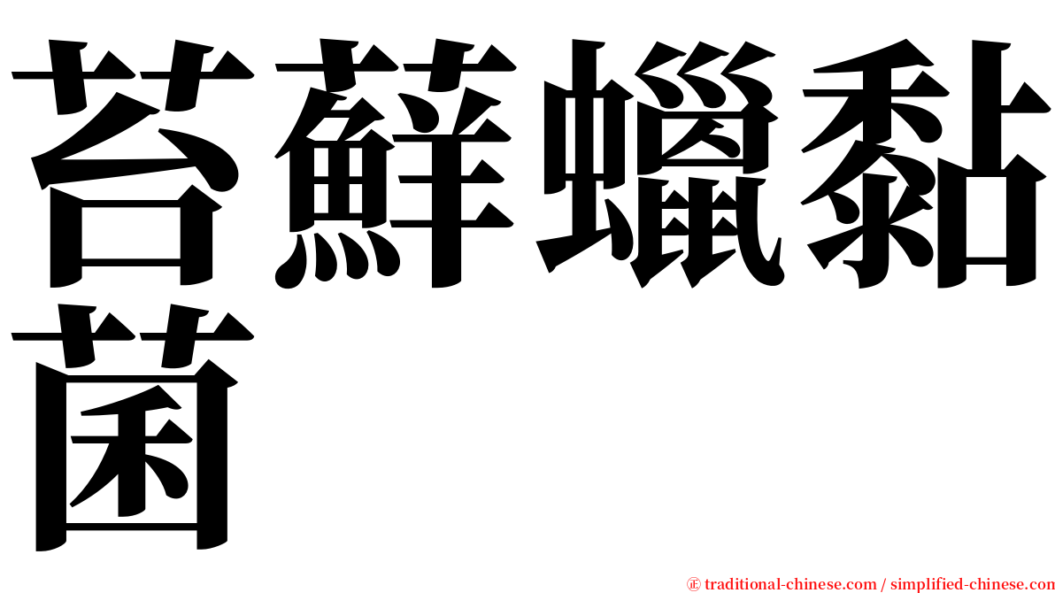 苔蘚蠟黏菌 serif font