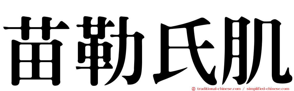 苗勒氏肌