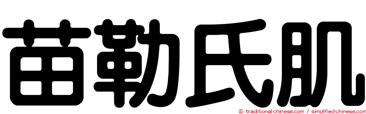 苗勒氏肌