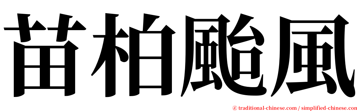 苗柏颱風 serif font