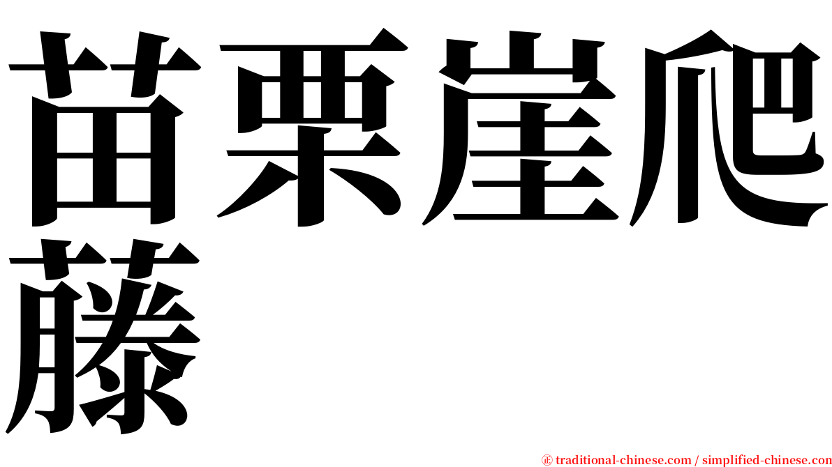 苗栗崖爬藤 serif font