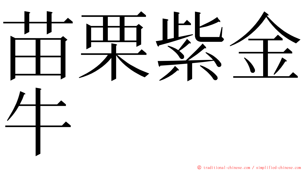 苗栗紫金牛 ming font