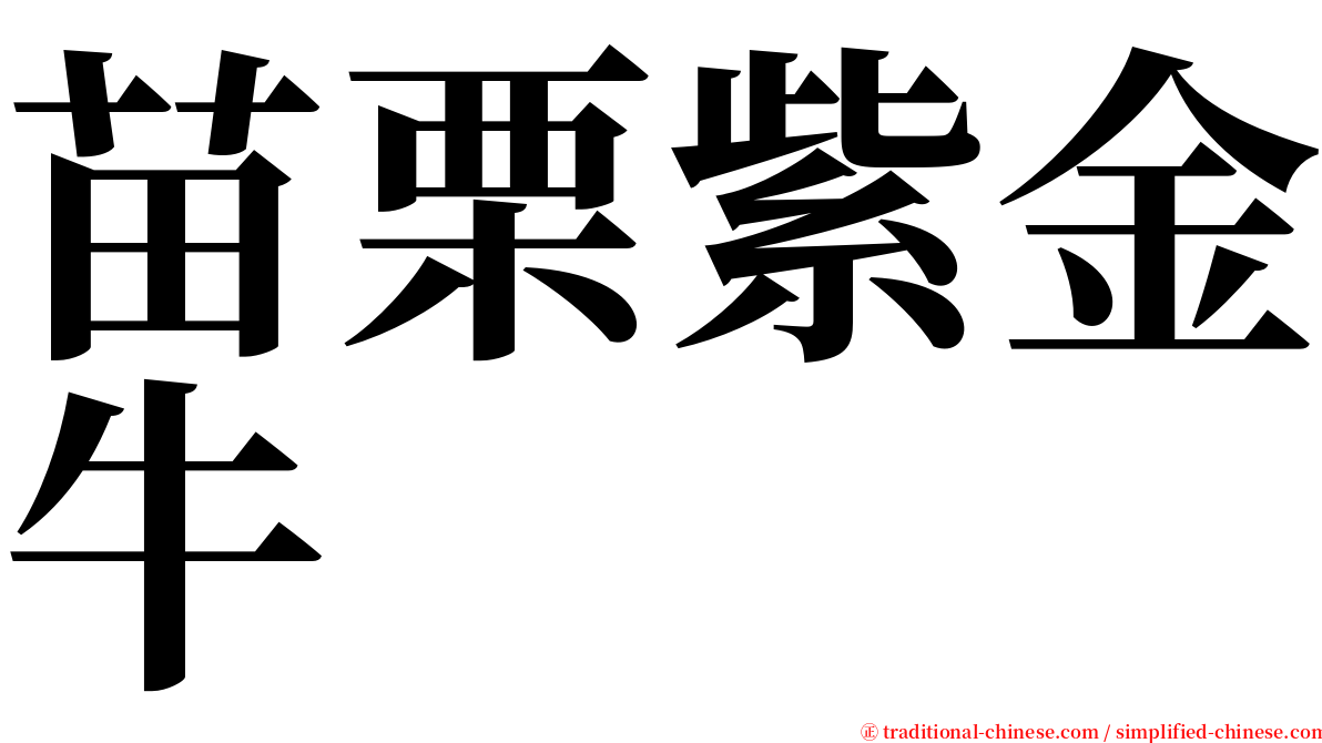 苗栗紫金牛 serif font