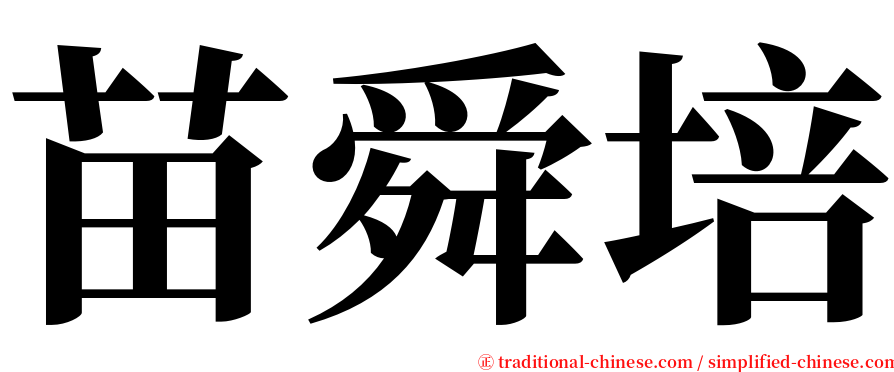 苗舜培 serif font