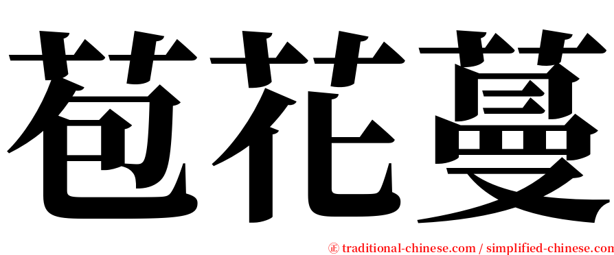 苞花蔓 serif font