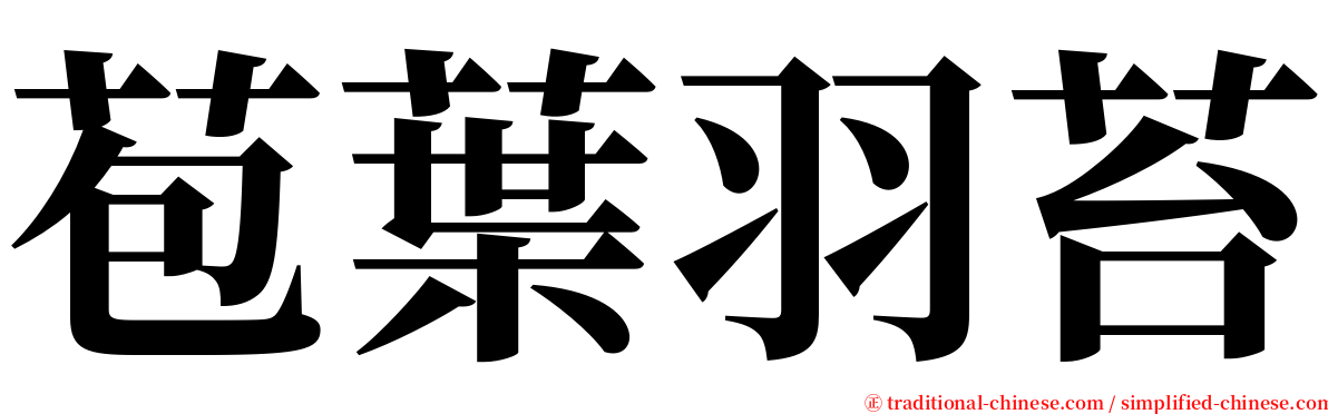 苞葉羽苔 serif font