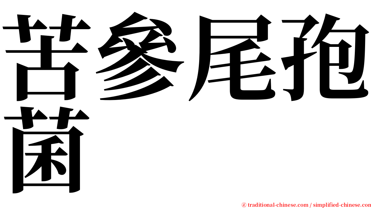 苦參尾孢菌 serif font