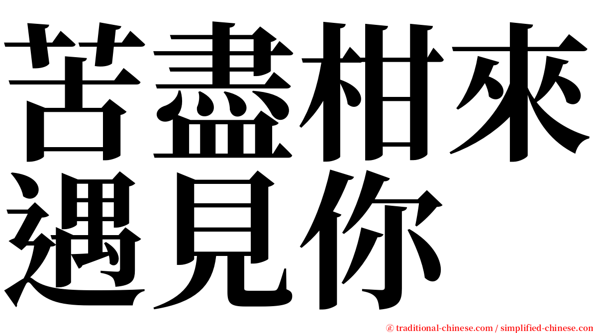 苦盡柑來遇見你 serif font