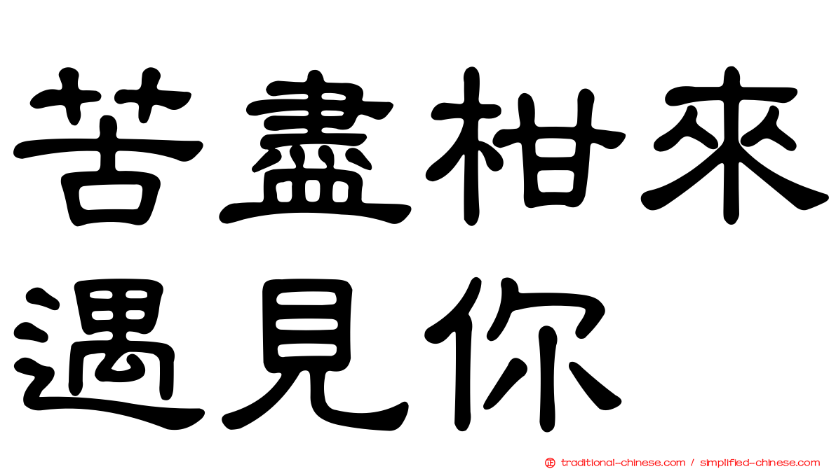 苦盡柑來遇見你