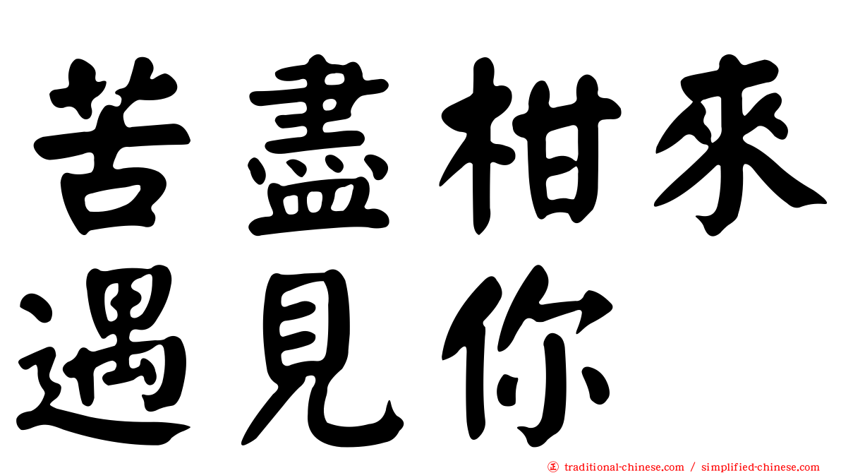 苦盡柑來遇見你