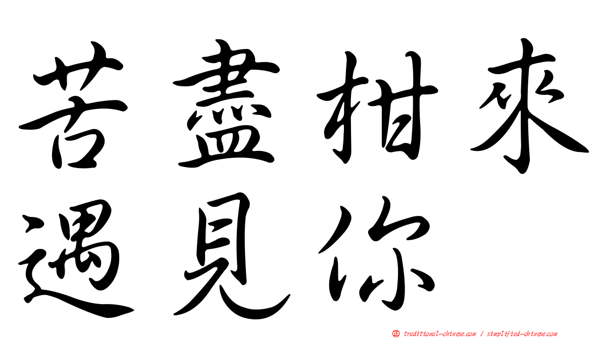 苦盡柑來遇見你