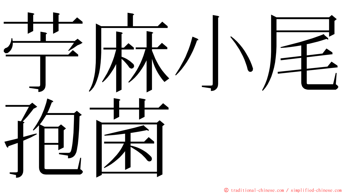 苧麻小尾孢菌 ming font