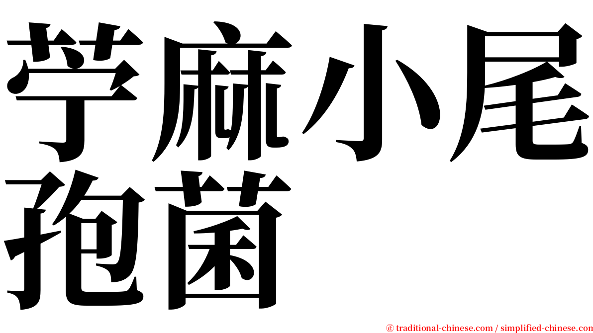 苧麻小尾孢菌 serif font