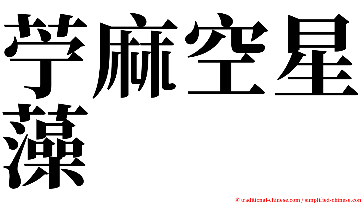 苧麻空星藻 serif font