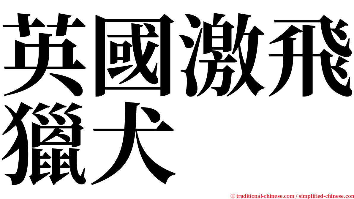 英國激飛獵犬 serif font