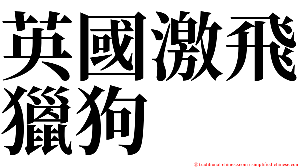 英國激飛獵狗 serif font