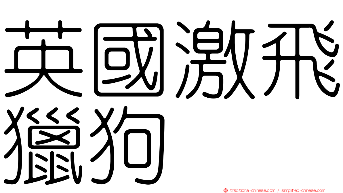 英國激飛獵狗